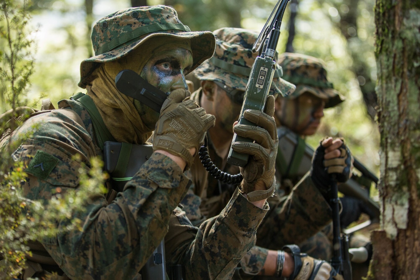 DVIDS - Images - Marines Conduct a Reconnaissance Patrol Southern Katipo 17 [Image 9 of 11]